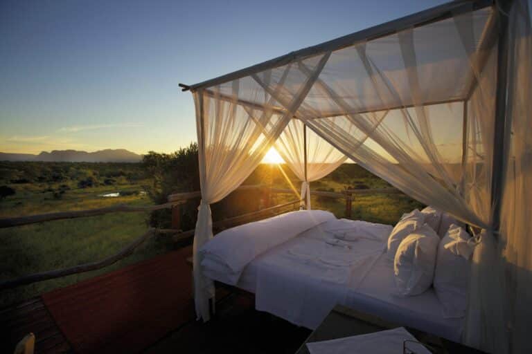 4 Day Kapama Karula Lodge Safari
